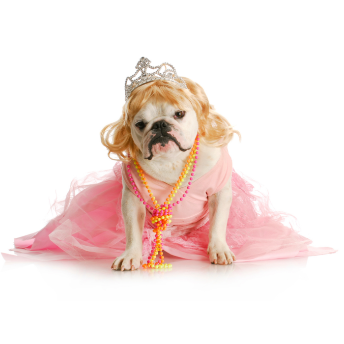 Princess Pooch Costume