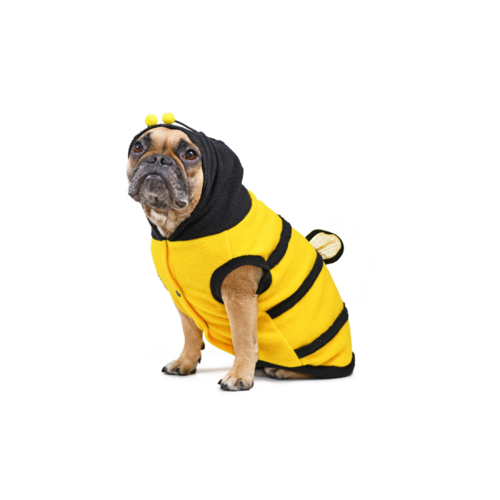 Bee Suit for Dogs
