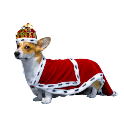 Royal King Outfit