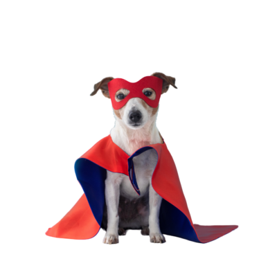 Superdog Hero Costume