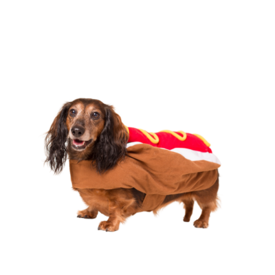 Hot Dog extra Costume