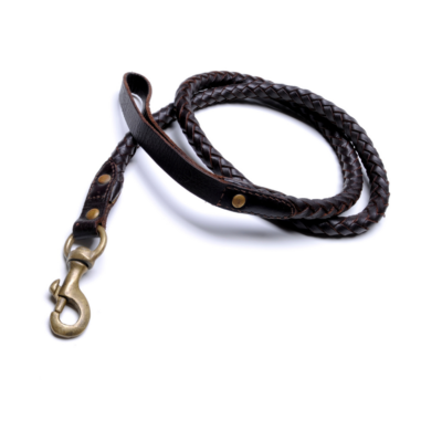 Classic Braided Leather Leash