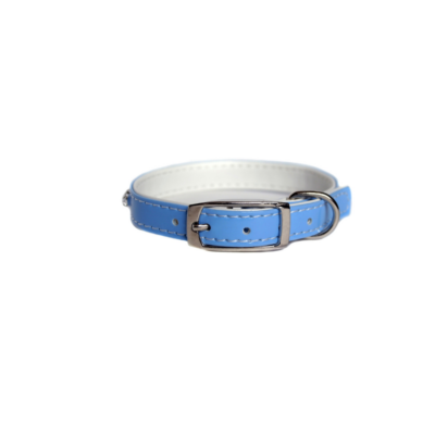 Ocean Breeze Blue Collar