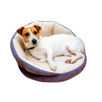 DreamCircle Ultra Soft Bed