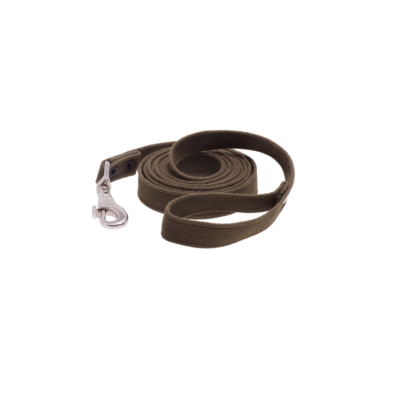 Earthy Brown Canvas Leash